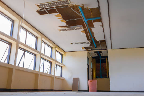 Best Water damage restoration company  in Nambe, NM