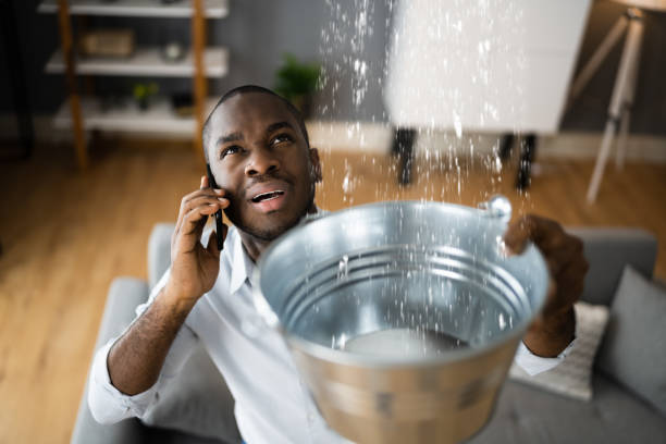 Best Local water damage restoration  in Nambe, NM