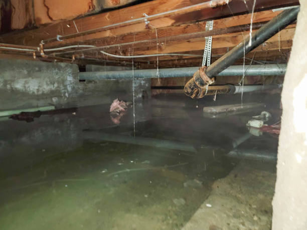 Best 24-hour water damage restoration  in Nambe, NM