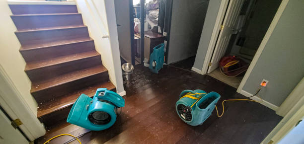 Water damage restoration insurance claims in Nambe, NM