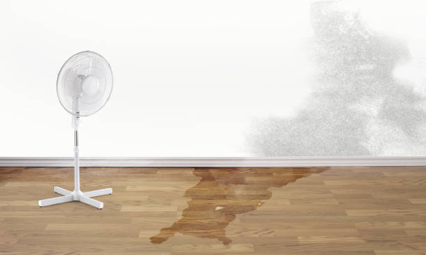 Best Fire Damage Restoration  in Nambe, NM