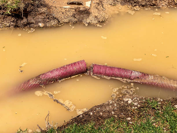 Best Flood restoration services  in Nambe, NM